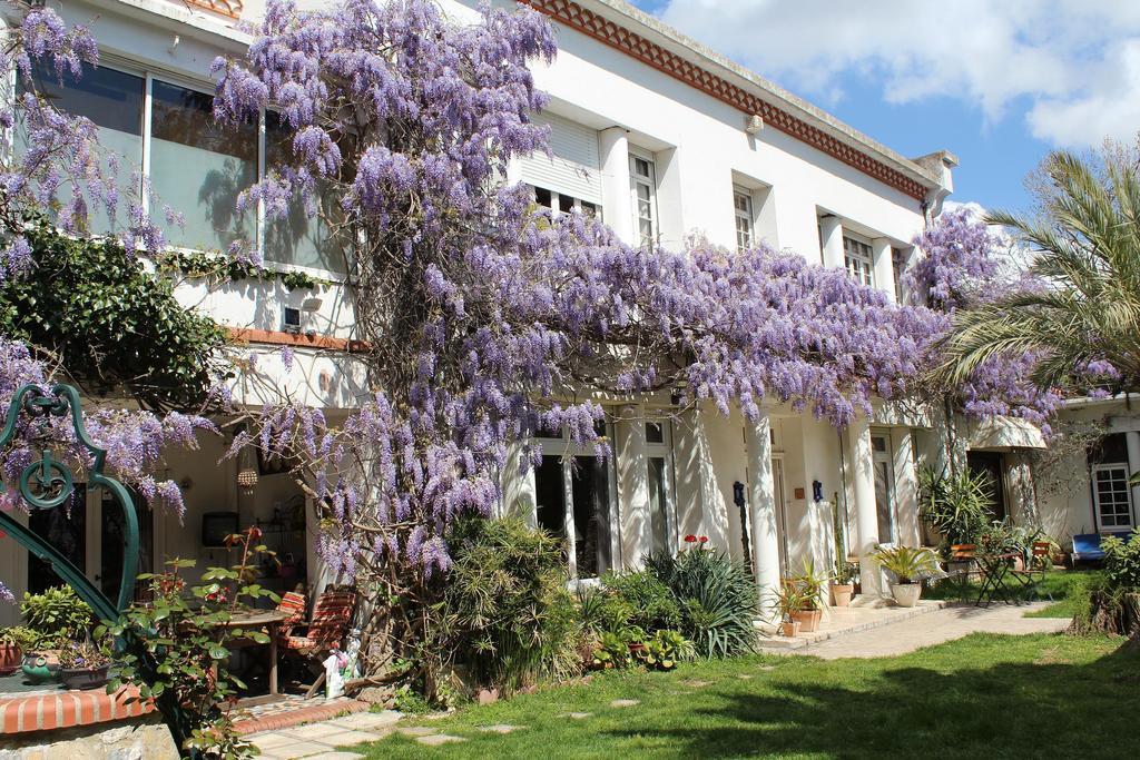 Domaine Saint Nicolas Bed & Breakfast แปร์ปินญอง ภายนอก รูปภาพ